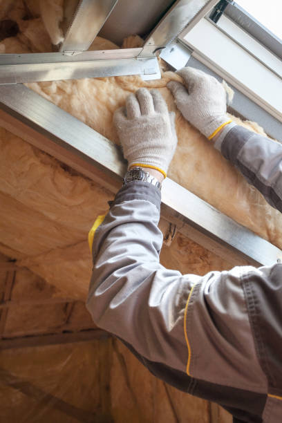 Best Residential Insulation in Rochester, WI